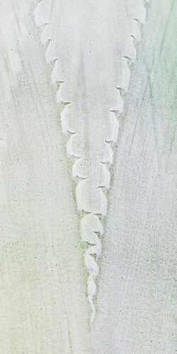 Marylynne-IMG5DMarkIV_0255NPN3MB-NPNRecommendedSize-3 copy