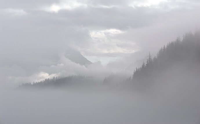 Waking up in a Fog