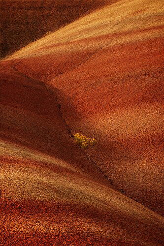 Painted Hills small scene 2