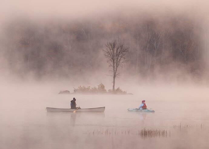 Misty Morning II