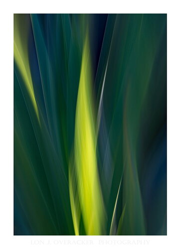 Original - 56ZE_3295ICM2-npn.jpg