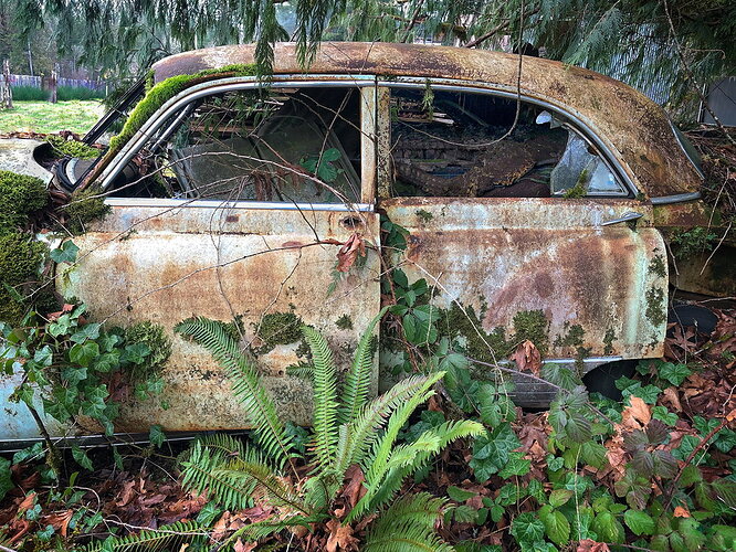 Original - Nature Wins.jpg
