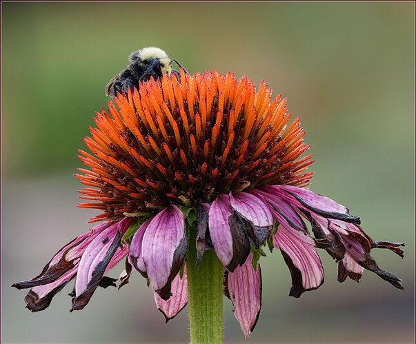 2025-08-20 13-26-55 (B,R11,S5)-Edit.jpg