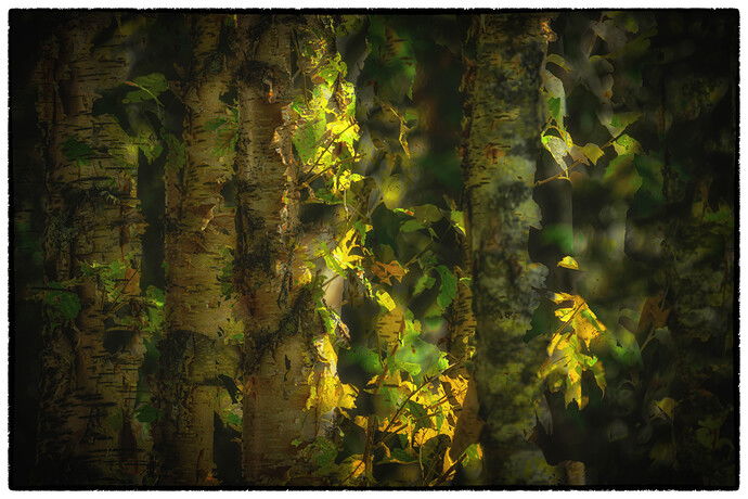 Cambodian Temple-0718.jpg