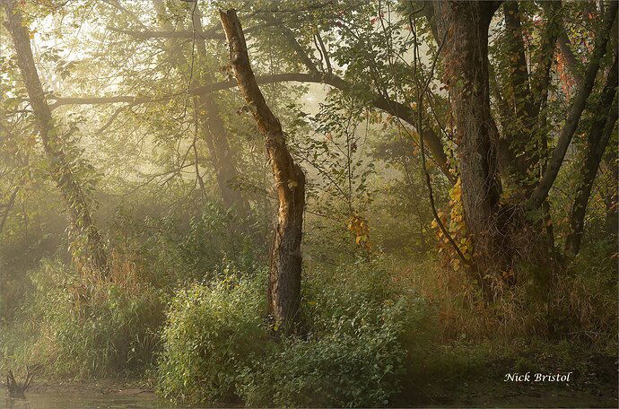 _53A5119. copy 2.jpg clone