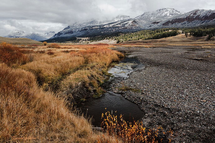 Fall Arrives in Yellowstone.jpg