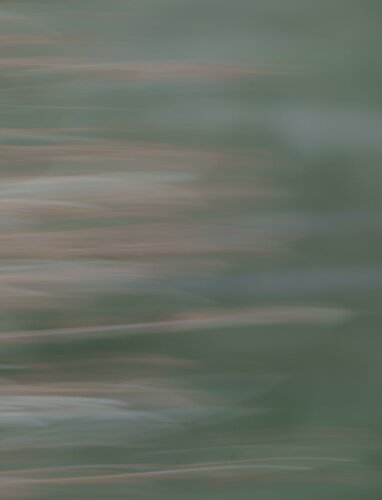 -20231212-_A1_2965-McLane Creek.jpg