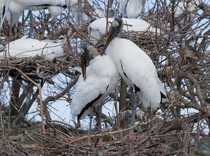 DSC_6190_DxO.jpg