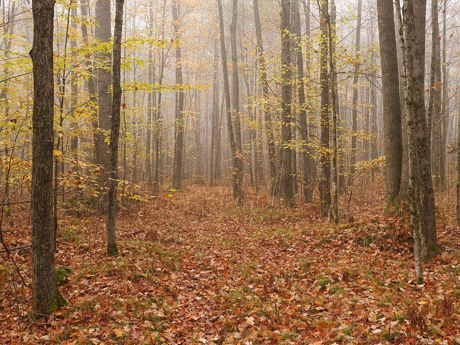 Kristen_SmithOctober 09, 2021P1070060