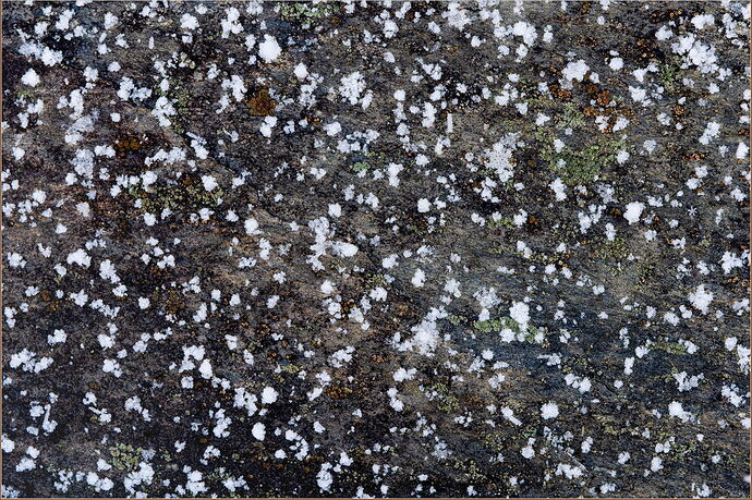 -20250204-_7R52275-Snow Flakes-ARW-Edit.jpg