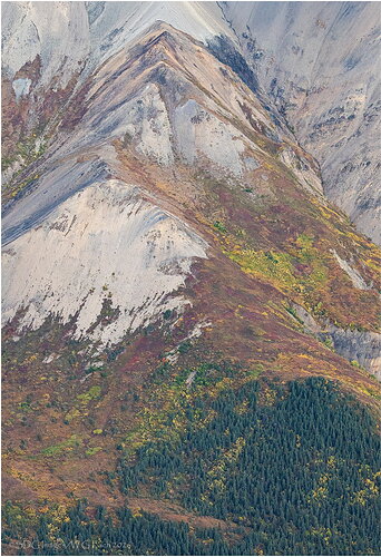 Original - Denali-Aloft7908a772-26.jpg