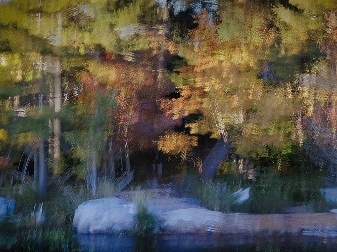 Original - 3V5A6747 03-10-2026-1.jpg