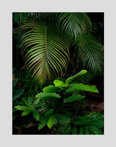 _DSF0378_psd5_1500px