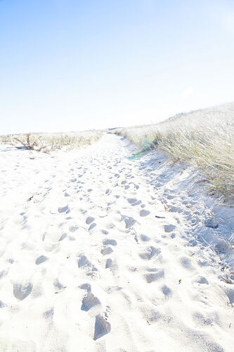 footprints to the horizon2