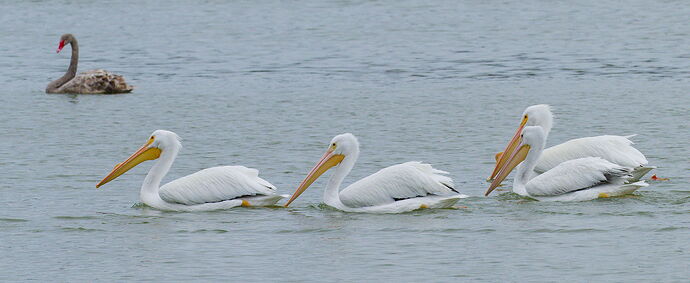 DSC_6935_DxO.jpg