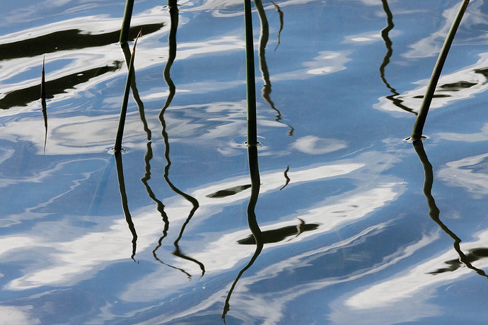 Original - 7U5A0990-Edit.jpg