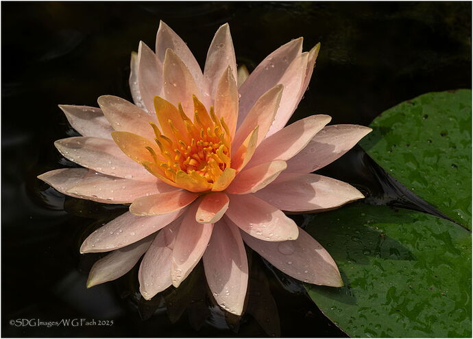 Water-Dreams-52209A7r3-25.jpg