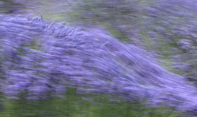 Original - 6U3A5930a_1a_1_1.jpg