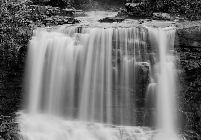 _DSC3954 copy B&W.jpg