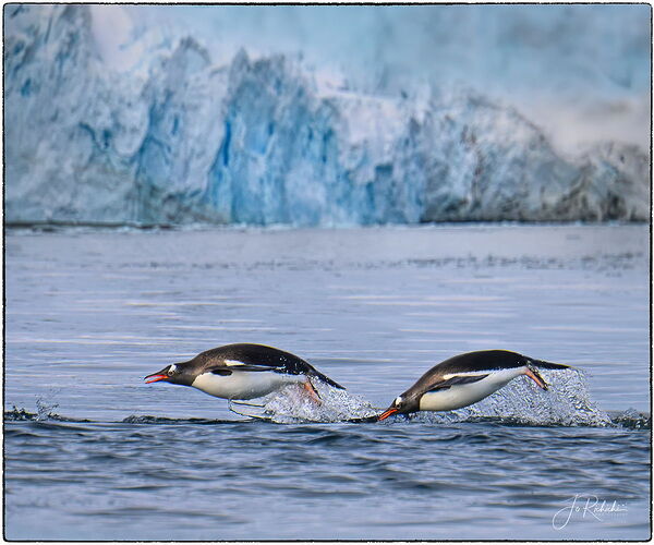 Running from the enemy.jpg