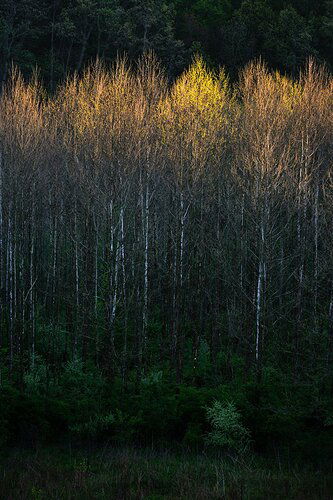 20210502-Highbanks Ridge-101-Edit-web1001x1500_U_100