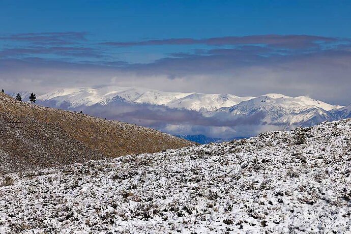 Eastern Sierra 2025-5