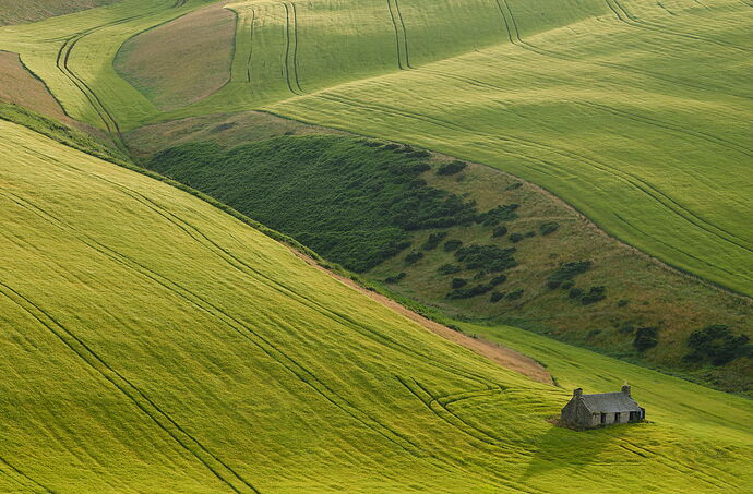 Agrisculpture-3-ntl.jpg