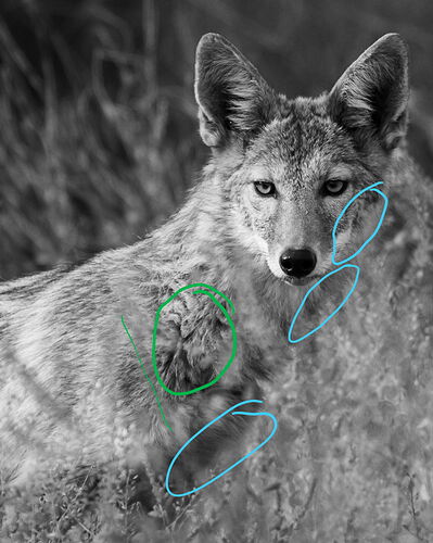 IMG7D-6566-2NPNWebLrg-4 - Copy