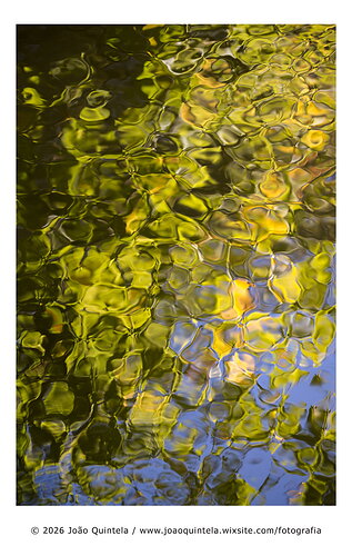 Original - JQ_20261003_137-Edit_Flickr--500px_1300x2048_U_90.jpg