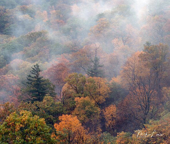 Into The Mist-ic