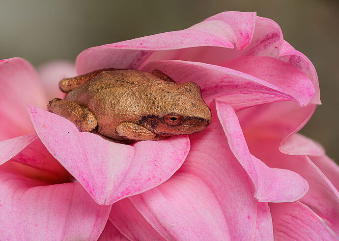 2025-06-24-10.18.39 ZS retouched-Edit.jpg