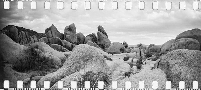 06B-HP5---DSC_9638-positive