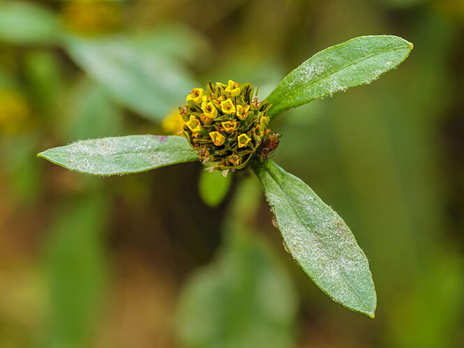 2026-01-04-10.26.06 ZS retouched.jpg