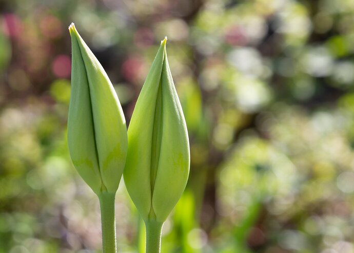 IMG5DIIIPost10k_3229NPNWebLrg-5