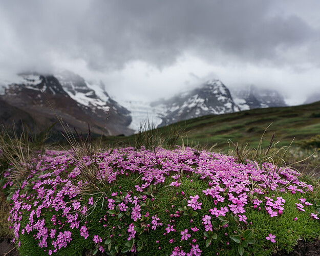 _DSC2947.jpeg