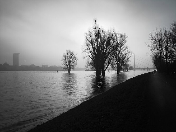 20180127-d-rhein