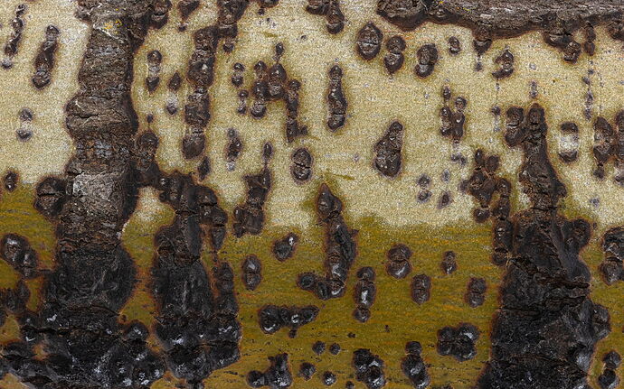 The stories it could tell.jpg