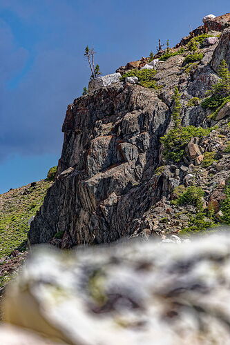 LO5D5751_DxO-2048PX