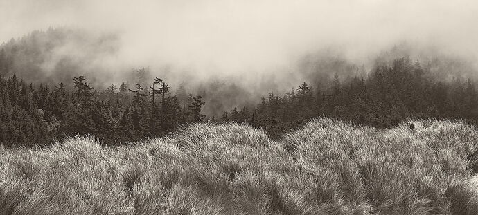 OR_WA_081225_144_v3