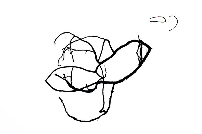 20260504-_Z081026.jpg