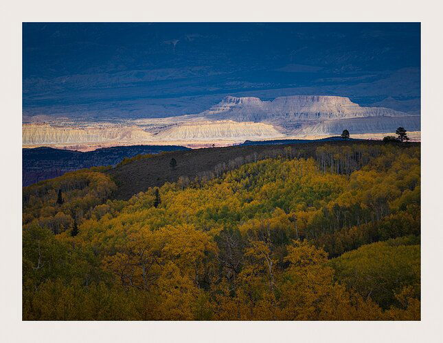 20221010-_DSC1974-Edit-3