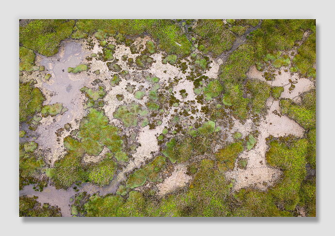 DJI_0042-Edit.jpg