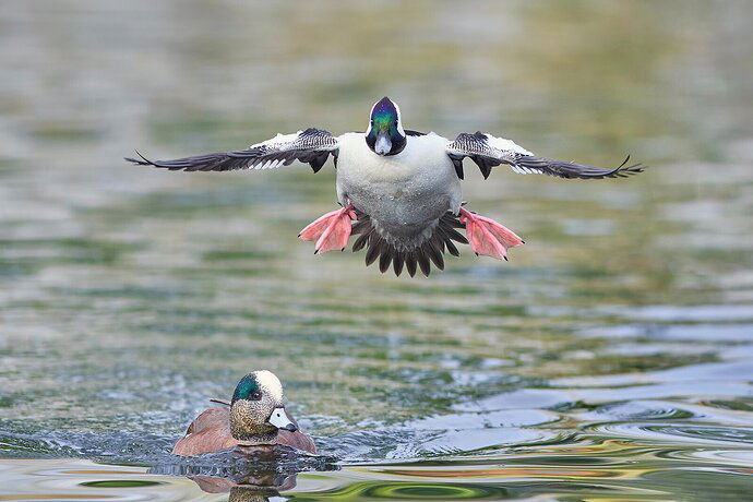 Air traffic software problem.....