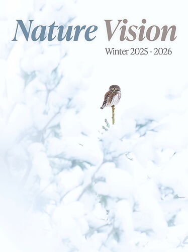 CleanShot 2026-01-29 at 09.00.57@2x