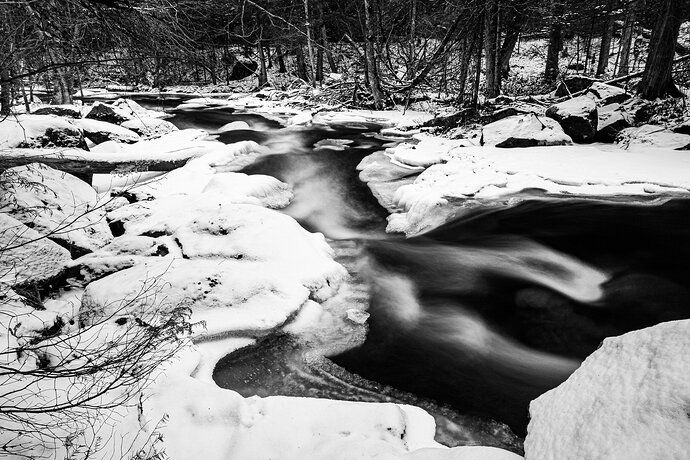 Thrown back (Prairie river B&W)