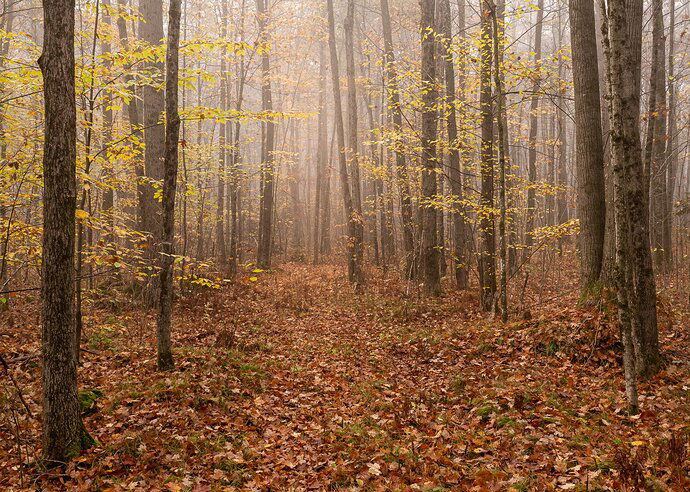 Kristen_SmithOctober 09, 2021P1070060-Edit