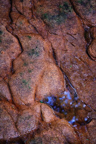 Rocky Reflection