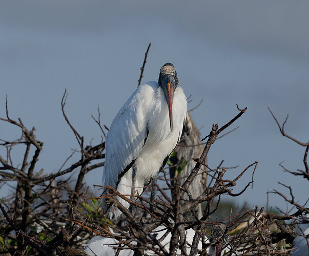 DSC_6281_DxO.jpg