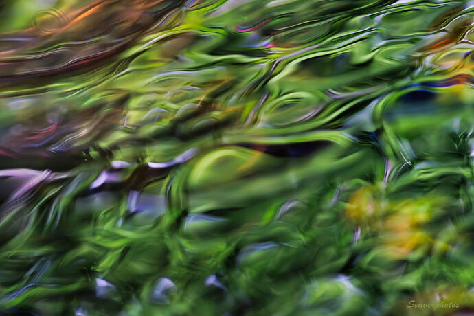 Rippled & Reflected #3.jpg