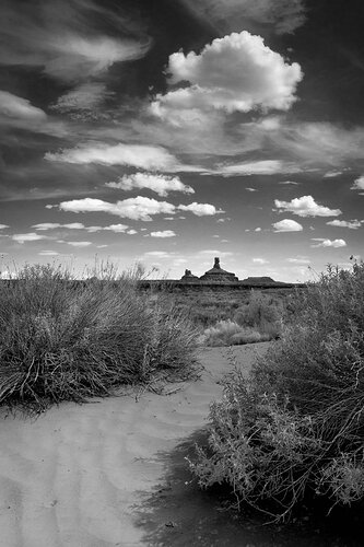 Sandscape